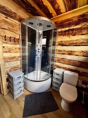 a bathroom with a shower and a toilet and a tub at Rancho-Bierna in Bierna