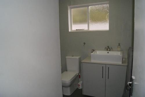 a bathroom with a sink and a toilet and a window at Chalet Eland in Ladismith