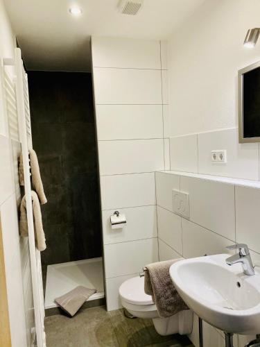 a white bathroom with a toilet and a sink at Wöllbacher Tor in Wetzlar