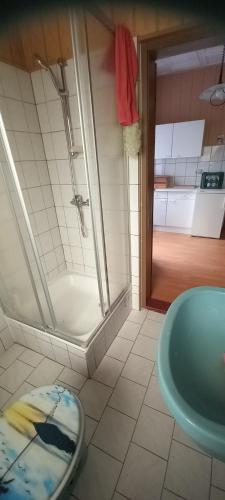 a bathroom with a shower and a toilet and a sink at Landgut Pinnow in Murchin