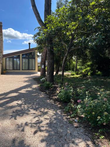 a house with glass windows and trees in front of it at Antica serra in Buttrio