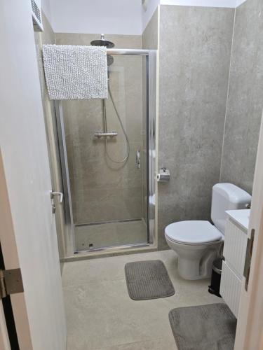 a bathroom with a shower and a toilet at Jardin Botanique in Brussels