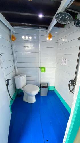 a bathroom with a toilet and a blue floor at Kelotok Orangutan Tanjung Puting in Kumai