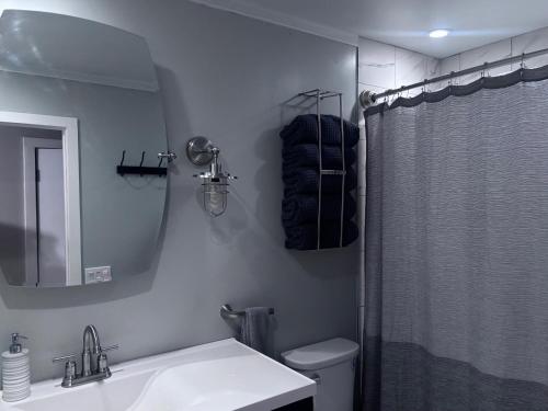 a bathroom with a sink and a toilet and a mirror at Peaceful in Evergreen