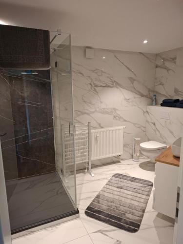a bathroom with a shower and a toilet at Ferienwohnung Nordseewind in Aventoft