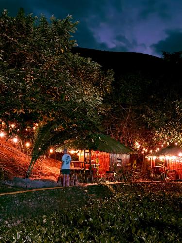 a person riding a bike at night with lights at Ohana in Coron