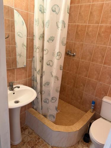 a bathroom with a shower with a sink and a toilet at Миндаль in Zatoka