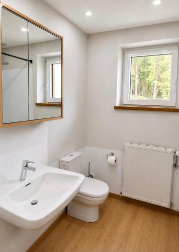 a bathroom with a sink and a toilet and a mirror at Haus König in Kirchbach
