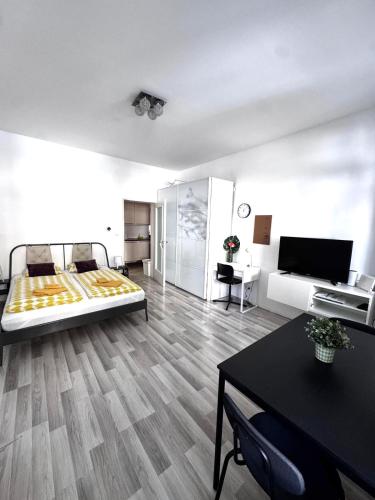 Schönbrunn Apartment
