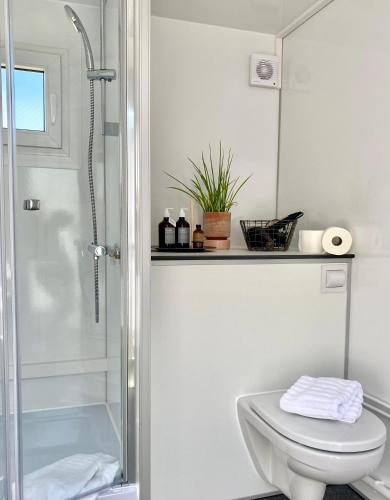 ein weißes Badezimmer mit Toilette und Dusche in der Unterkunft Green Glamping in Sønderborg