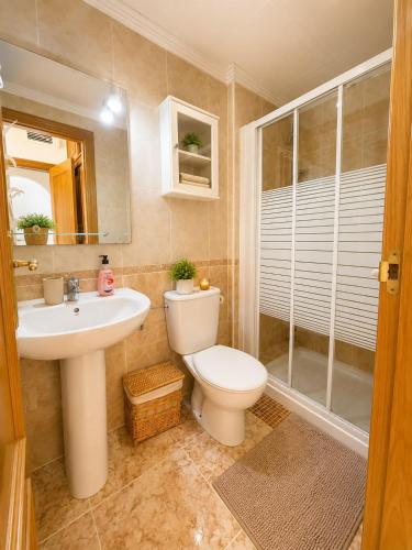 a bathroom with a toilet and a sink and a shower at Almohabenos Pool View in Punta Prima