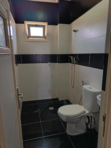 a bathroom with a toilet and a shower at Résidence Zaouit Aglou in Aglou