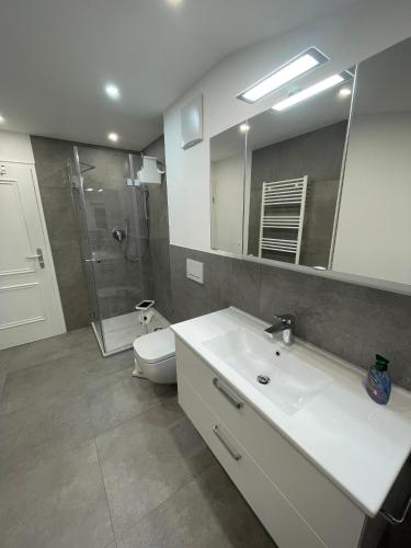a bathroom with a sink and a toilet and a mirror at Schuhhaus Biberger - Fewo Lukas in Schönau am Königssee