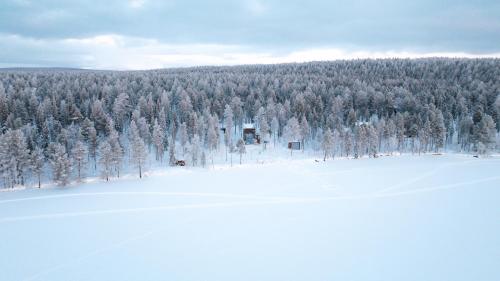 a view of a snow covered forest with a ski lift at Polaris Villas - Villa BLÄKK in Muonio
