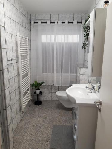 a bathroom with a sink and a toilet and a shower at Ferienwohnungen in Böhme in Böhme