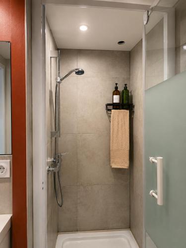 a bathroom with a shower with a toilet and a sink at l'Ecrin Bellevue in Aix-les-Bains