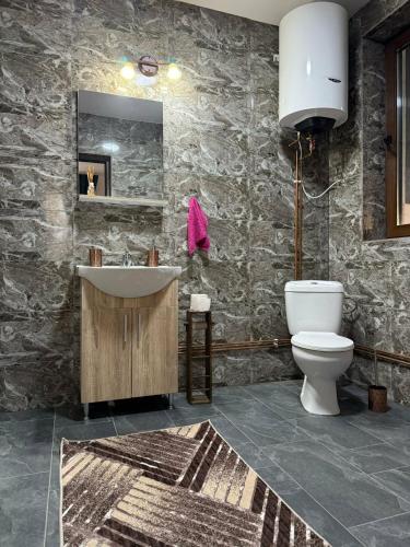 ein Badezimmer mit Waschbecken und Toilette in der Unterkunft Cabana Timeea in Ostrovu Corbului