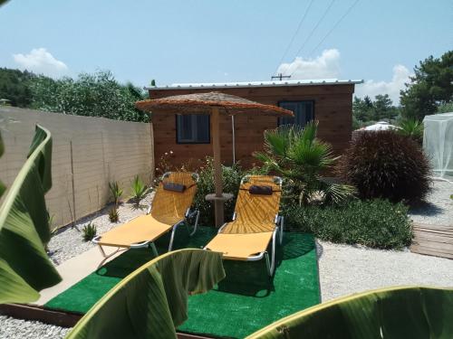 two chairs and an umbrella in a garden at Mountain View Bungalows Dimilia in Fánai