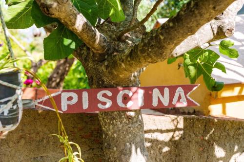 a sign hanging from a tree in a tree at Cozy studio in Valencia de Alcántara 25 m² lovely garden in Valencia de Alcántara