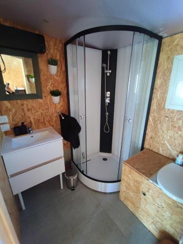 a bathroom with a shower and a sink at Studio des Mèzerets in La Chapelle-Engerbold