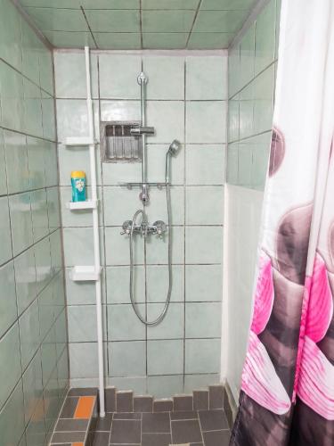 a shower in a bathroom with a tiled wall at Appartement charmant à Sainte-Rose avec terrasse et jardin in Sainte-Rose