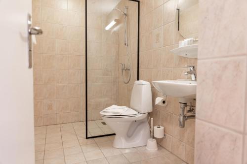ein Badezimmer mit Dusche, Toilette und Waschbecken in der Unterkunft Hotel Phønix Aalborg in Aalborg