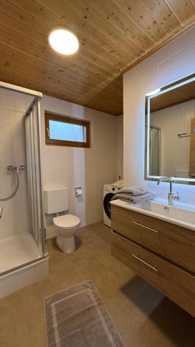 a bathroom with a toilet and a shower and a sink at Ferienwohnung Lisa in Grabenstätt