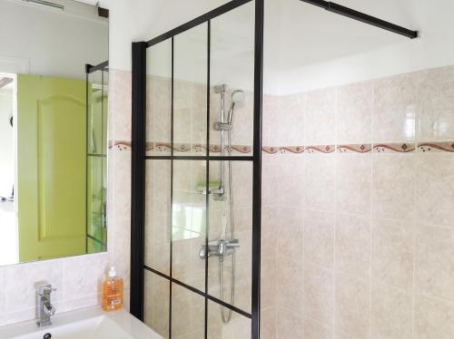 a shower with a glass door in a bathroom at Appartement confortable avec vue sur mer à Bouillante, 50 m² in Bouillante
