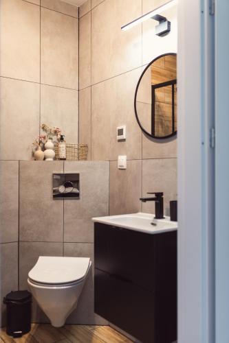 a bathroom with a sink and a toilet and a mirror at Domki pod Krakowem - Stare Sady in Kopytówka