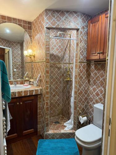 Cannes Apartment with Private Garden Courtyard, Quiet, Central & Near Beaches