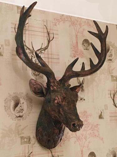 a fake deer head hanging on a wall at The Coach House Inn in Chester
