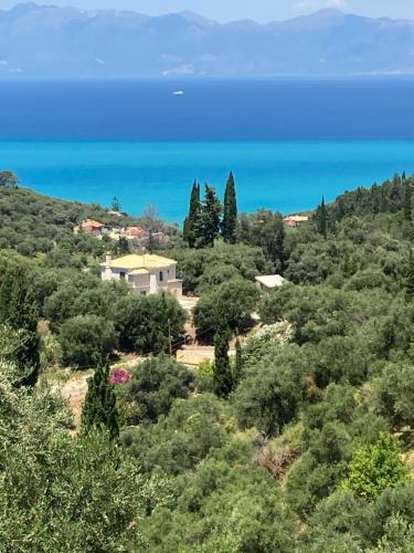 a view of the ocean from a hill with trees at Little Blue House in Sidari