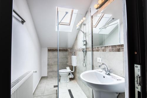 a bathroom with a sink and a toilet and a mirror at Casa Bradul Inalt in Sohodol