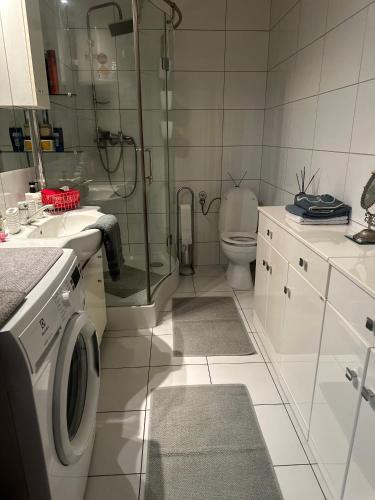 a bathroom with a shower and a washing machine at Park Poleski - Sosnowe Zacisze in Grabniak