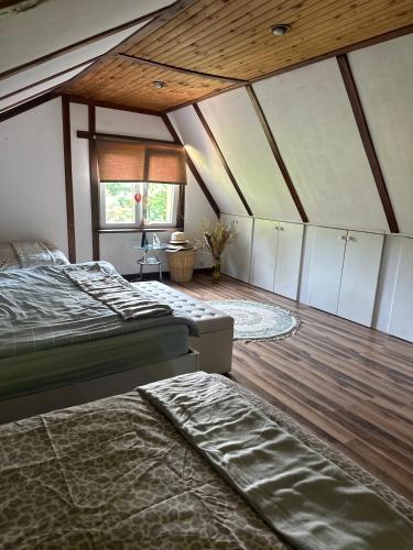 a large room with two beds and a window at Park Poleski - Sosnowe Zacisze in Grabniak