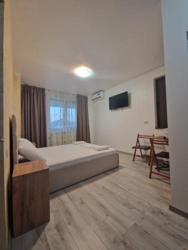 a bedroom with a bed and a television in it at Harmony Rooms & Studios in Constanţa