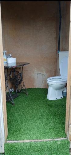 a bathroom with a toilet and a table at Caravan Romsicht Sneek, rustig gelegen in Sneek