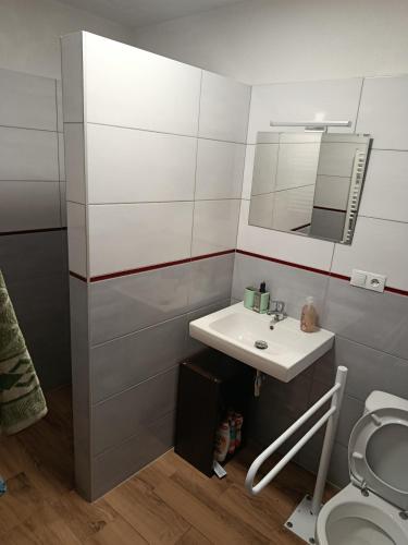 a bathroom with a sink and a toilet at Chalúpka Liptov in Lúčky