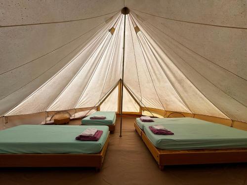 a tent with two beds in a room at Ecodomaine Chemins de Traverse in Auberive