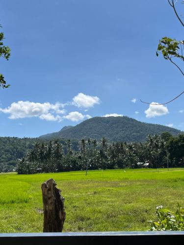 a tree stump in a field with a mountain in the background at Mystical Hidden Farmhouse in Camiguin