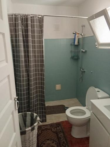 a bathroom with a shower curtain and a toilet at Ze Carlos Simoes in Mira