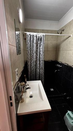 a bathroom with a sink and a shower at Espacio Canela monoambiente in Ramallo