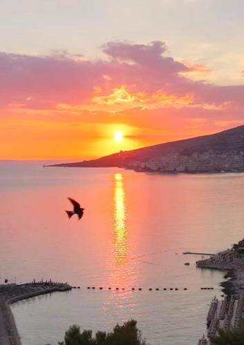 a bird flying over a body of water at sunset at Bluemoon Suites Sarande in Sarandë
