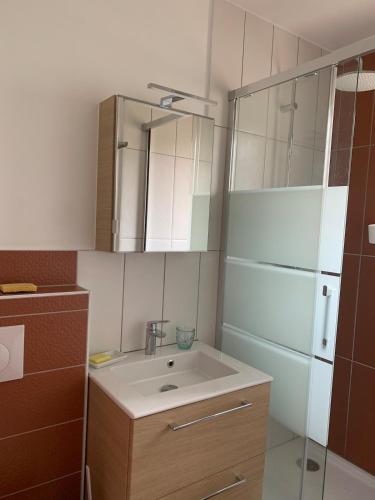a small bathroom with a sink and a shower at Studio Indépendant in Floirac