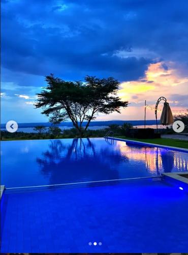 a swimming pool with a tree and a sunset at Flamingo Bay in Nakuru