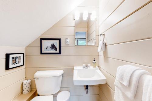 a bathroom with a white toilet and a sink at Gunstock Getaway in Gilford