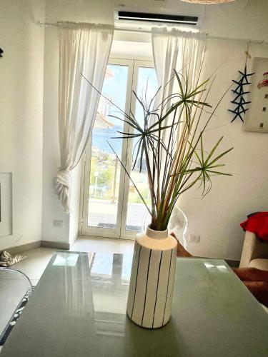 a vase with a plant on a table in front of a window at Casa Peloro in Torre Faro