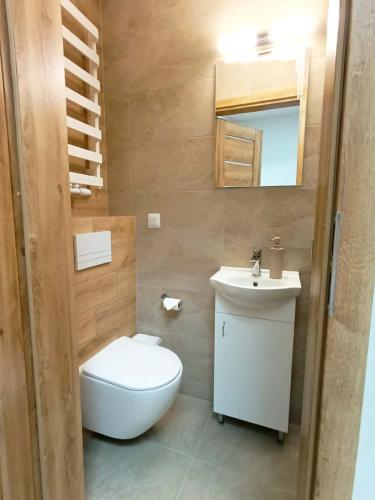 a bathroom with a toilet and a sink and a mirror at Hotelik Kościerzyna in Kościerzyna