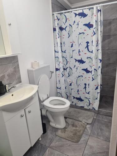 a bathroom with a toilet and a shower curtain at Casa Florentina in Făgăraş
