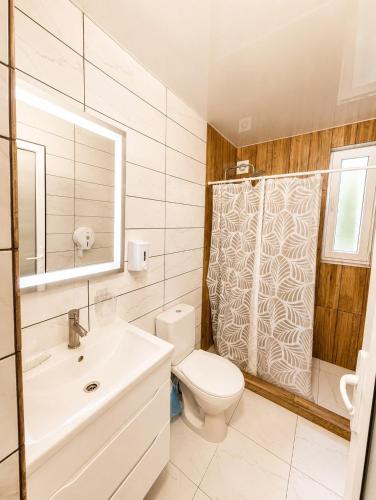 a bathroom with a toilet and a sink and a shower at Апарт Стефанія in Skhidnitsa